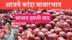 Market rate आजचे राज्यातील कांद्याचे बाजारभाव